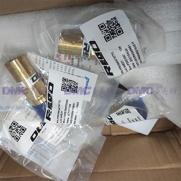 美國(guó)力高REGO PRV9434系列低溫氣體安全閥_2