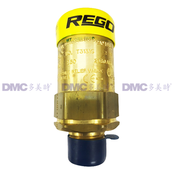 美國力高RegO 3131G安全閥_2